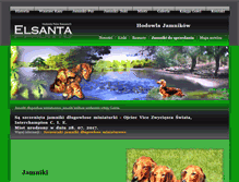 Tablet Screenshot of elsanta.pl